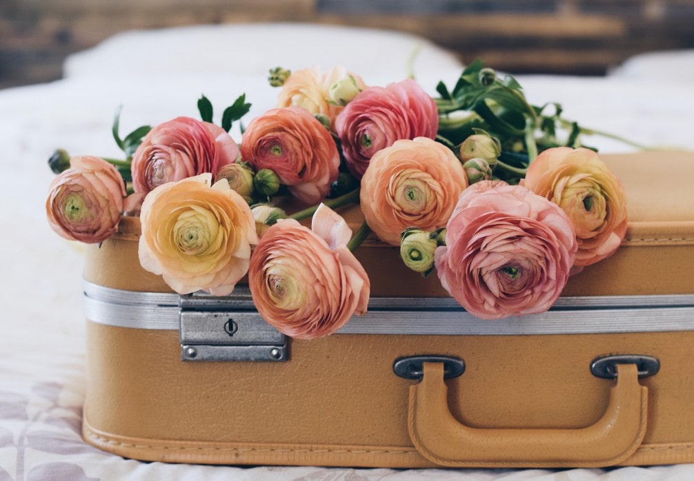 Fleurs sur une valise pour dire au revoir et faire son deuil