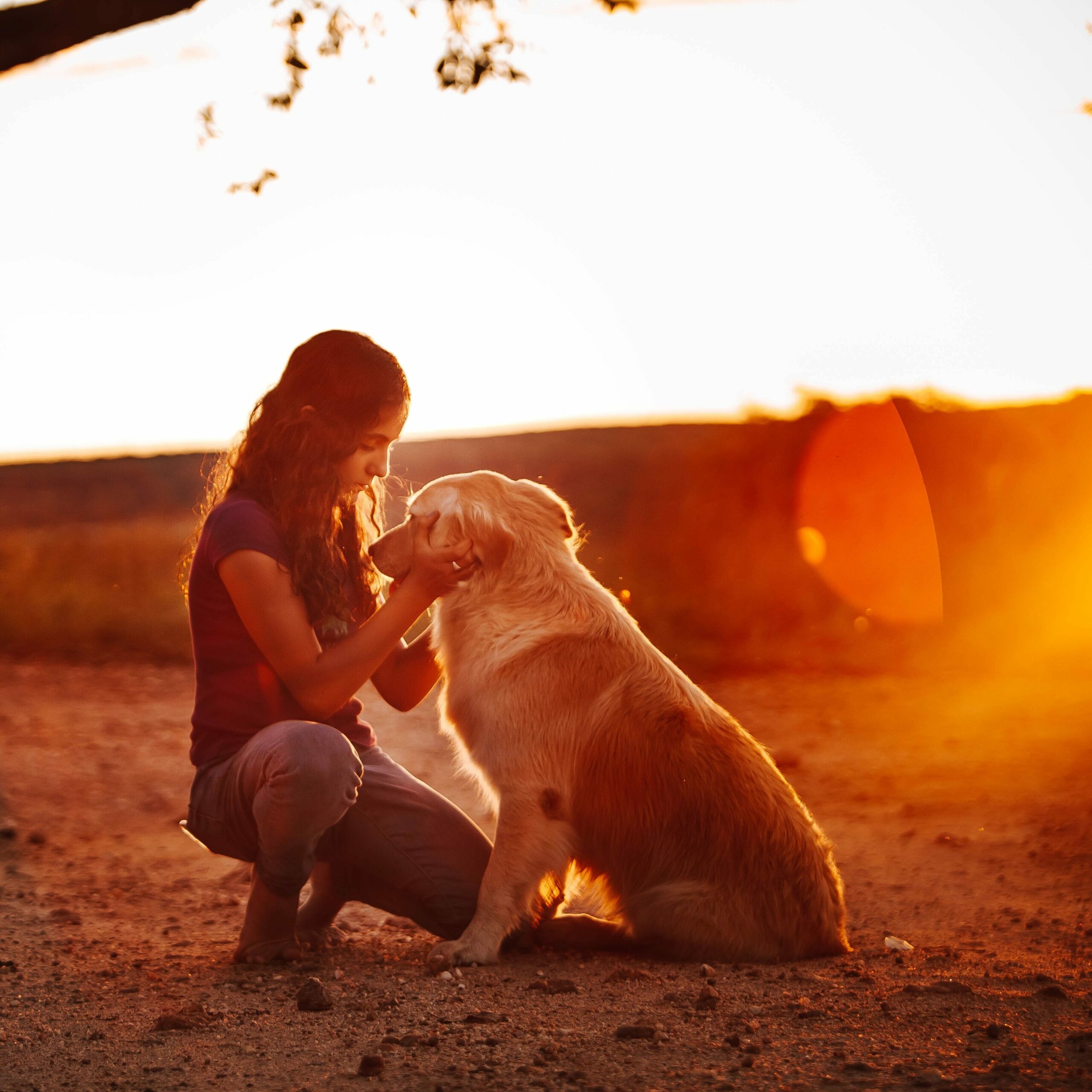 promenade chien pour aider deuil